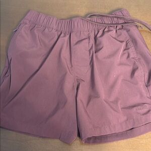 Hollister Purple Athletic Shorts Lightweight Elastic Waist